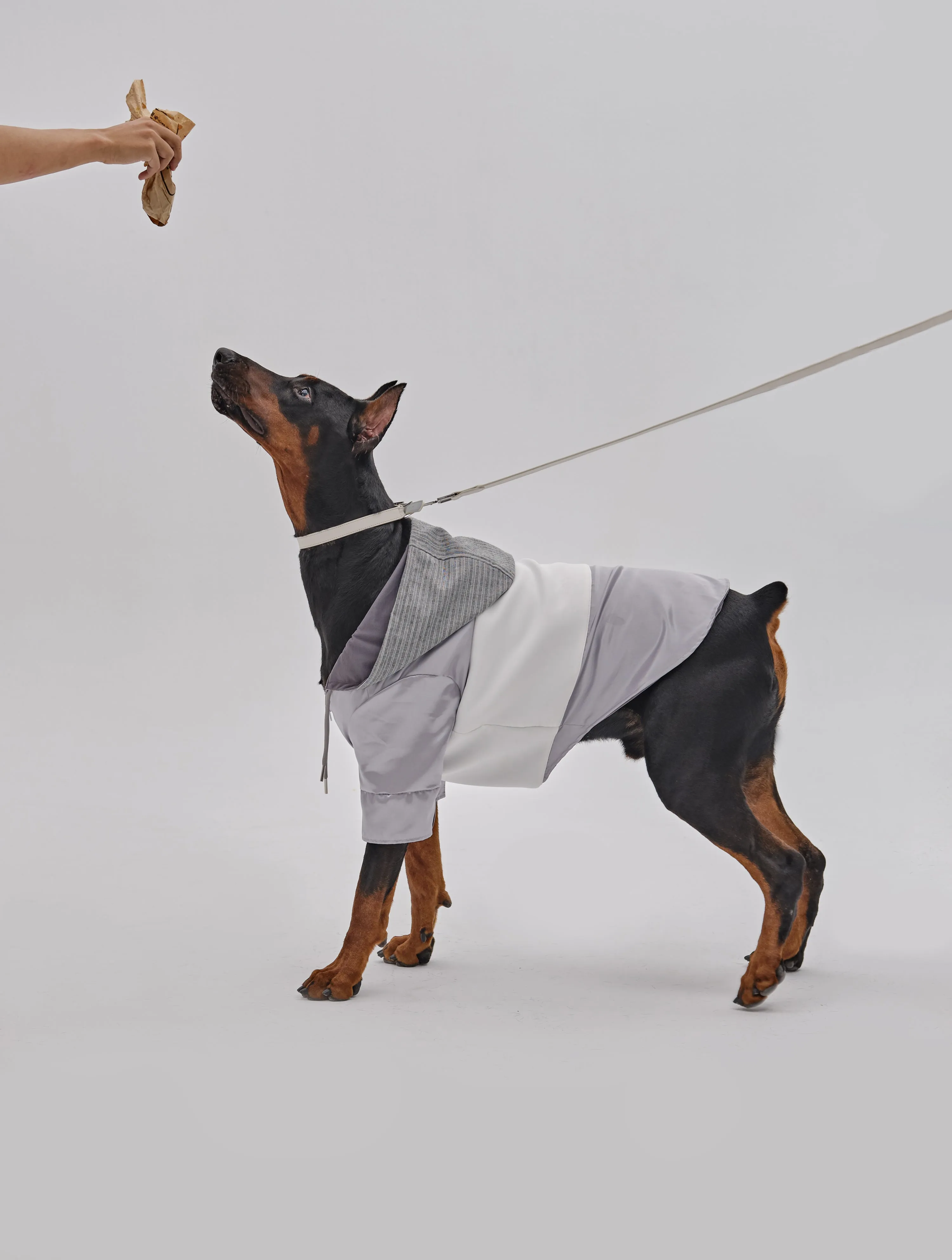 Andersen Calfskin Pet Collar