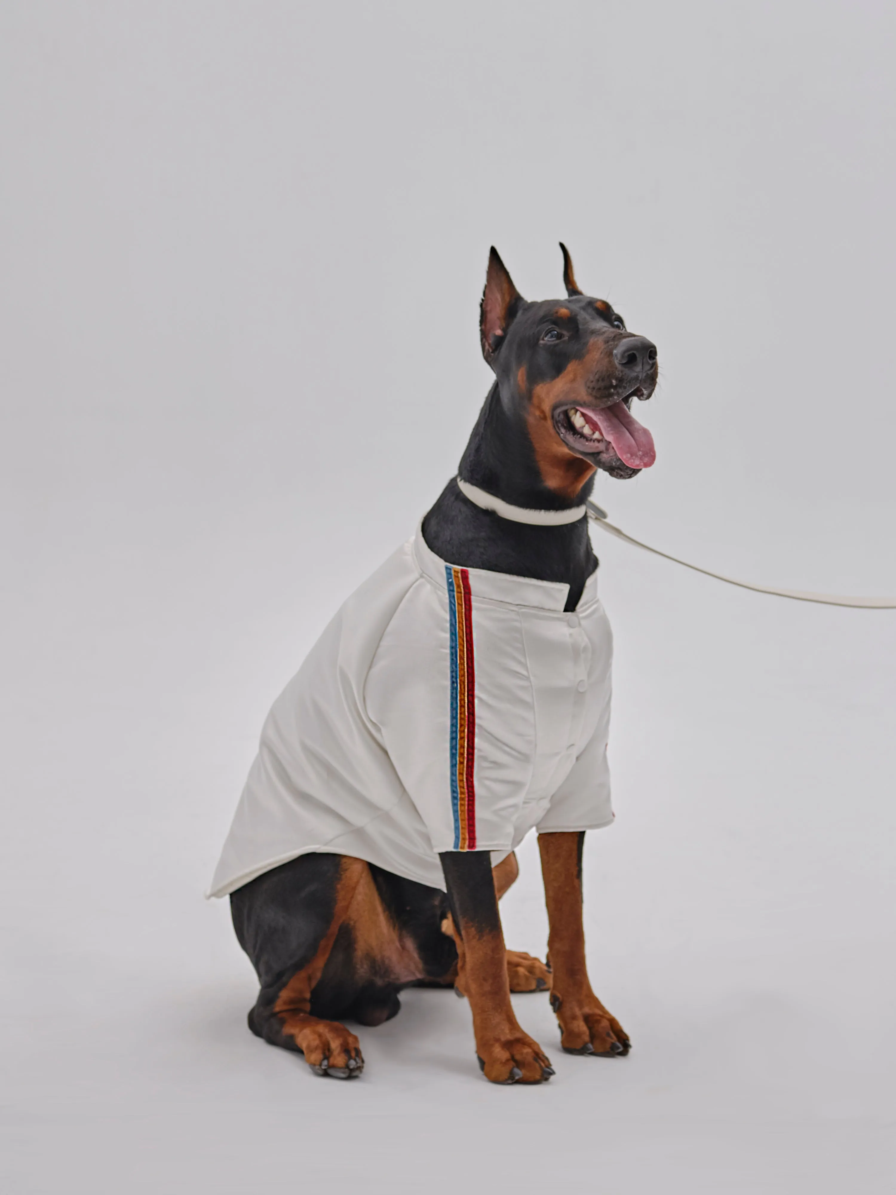 Andersen Calfskin Pet Collar