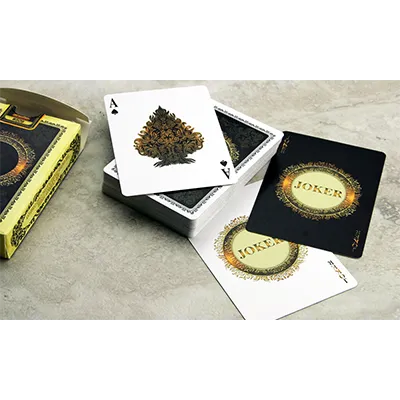 Bicycle Phenographic Playing Cards by Collectable Playing Cards
