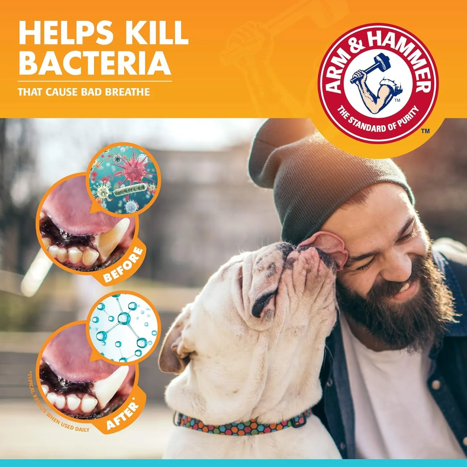 for Pets Clinical Care Dental Enzymatic Toothpaste for Dogs Soothes Inflamed Gums Safe for Puppies 1 Pack Fresh Breath Vanilla Ginger (Pack of 1)