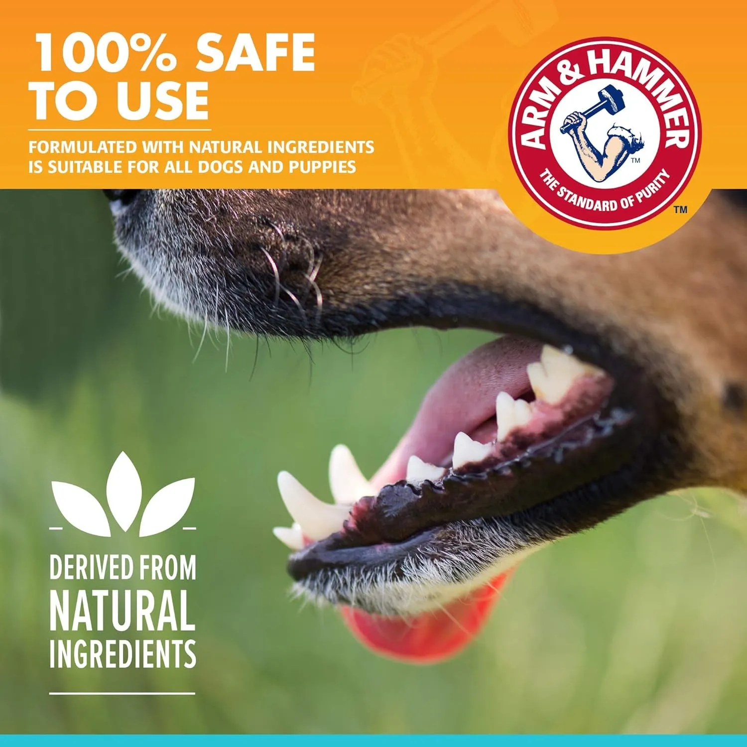 for Pets Clinical Care Dental Enzymatic Toothpaste for Dogs Soothes Inflamed Gums Safe for Puppies 1 Pack Fresh Breath Vanilla Ginger (Pack of 1)