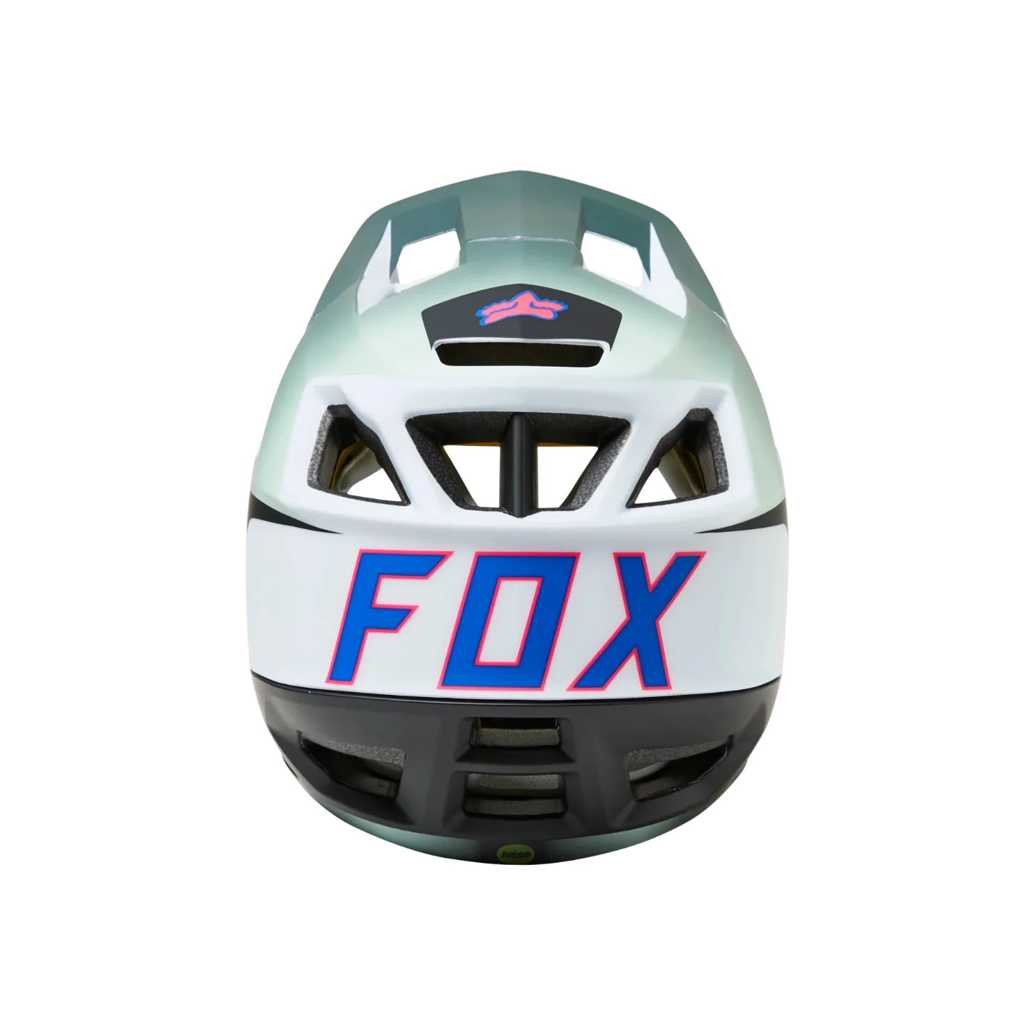 Fox Proframe Graphic Full Face Helmet