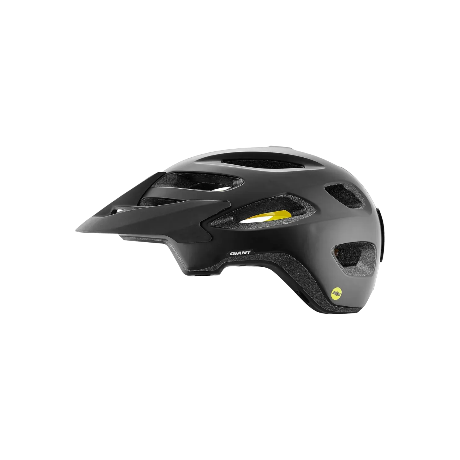 Giant Roost Mips Helmet - Matte Black