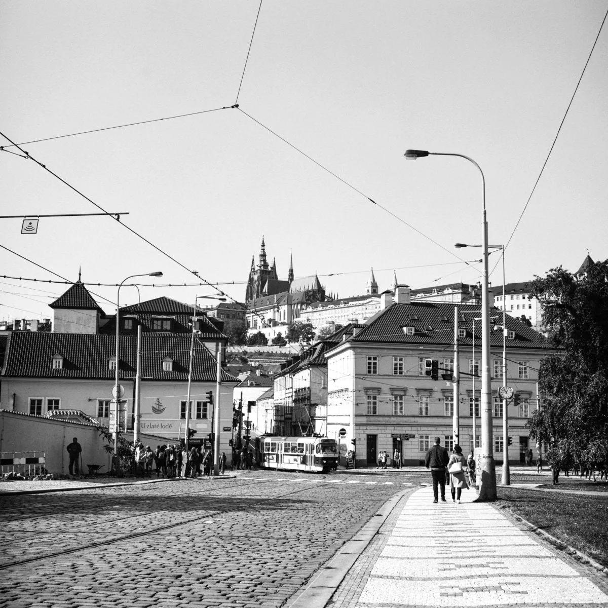 Ilford Ortho Plus 80 - 35mm Film