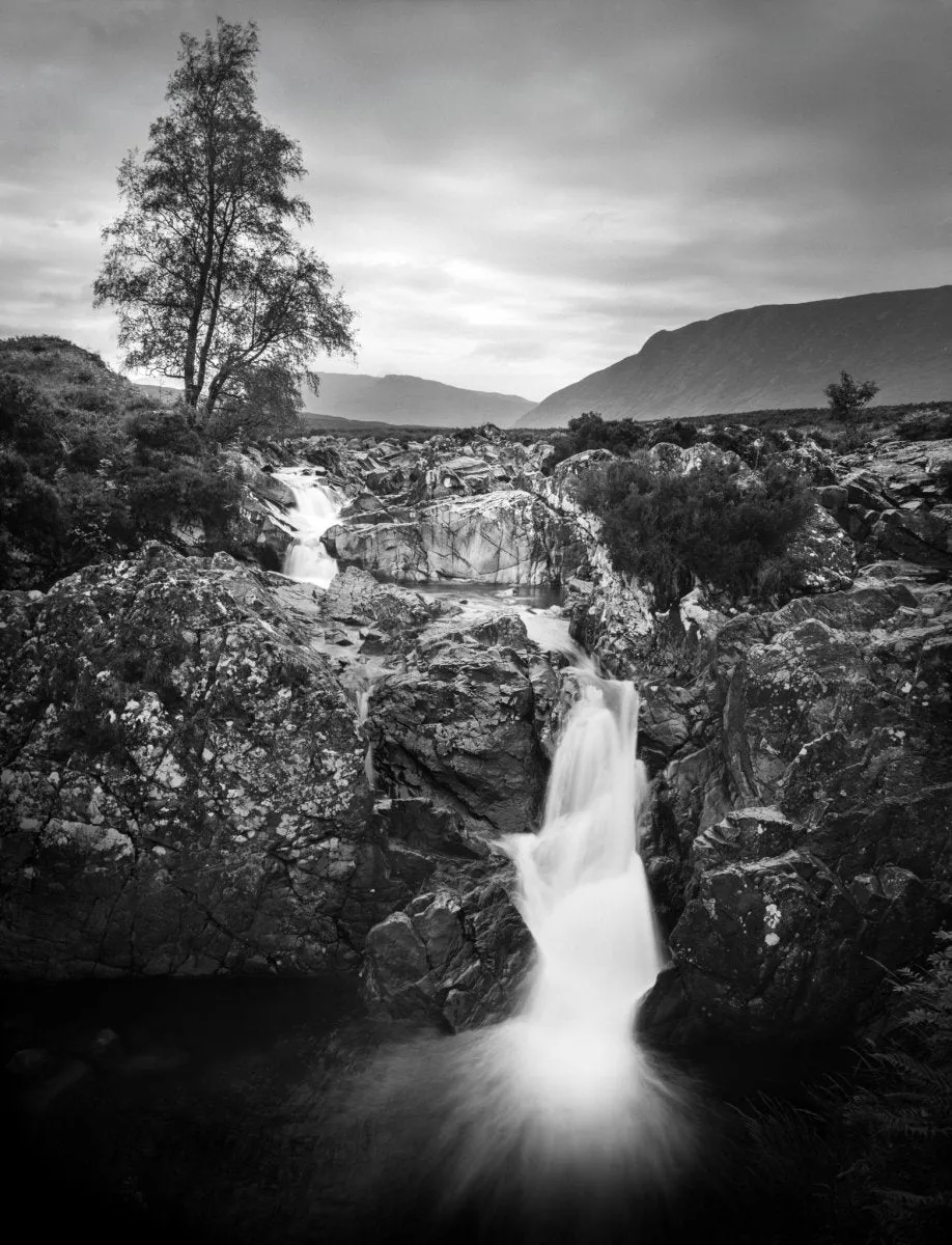 Ilford Ortho Plus 80 - 35mm Film