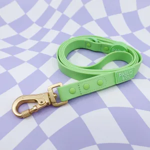 Lime Green Waterproof Leash