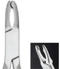 Orho Plier-Johnson
