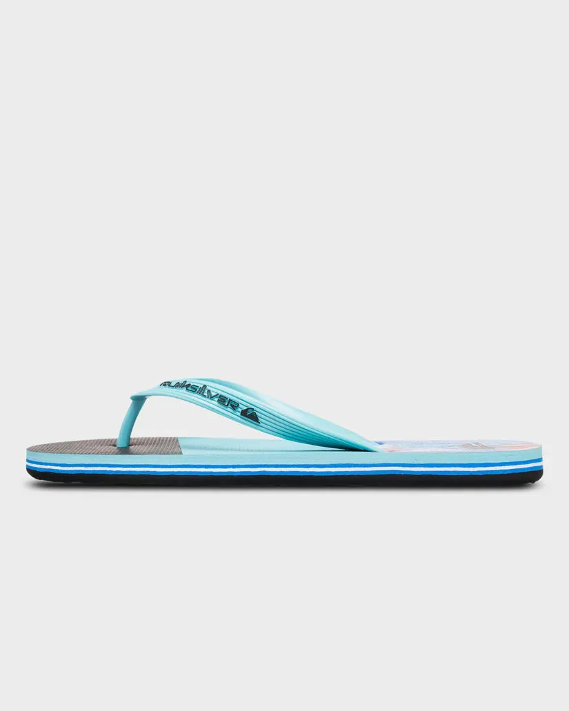 Quiksilver Molokai Stripe 25 - Nebulas Blue Bloomfade