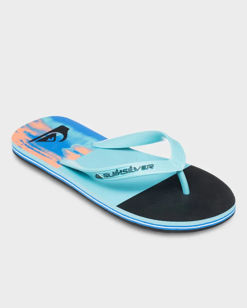 Quiksilver Molokai Stripe 25 - Nebulas Blue Bloomfade