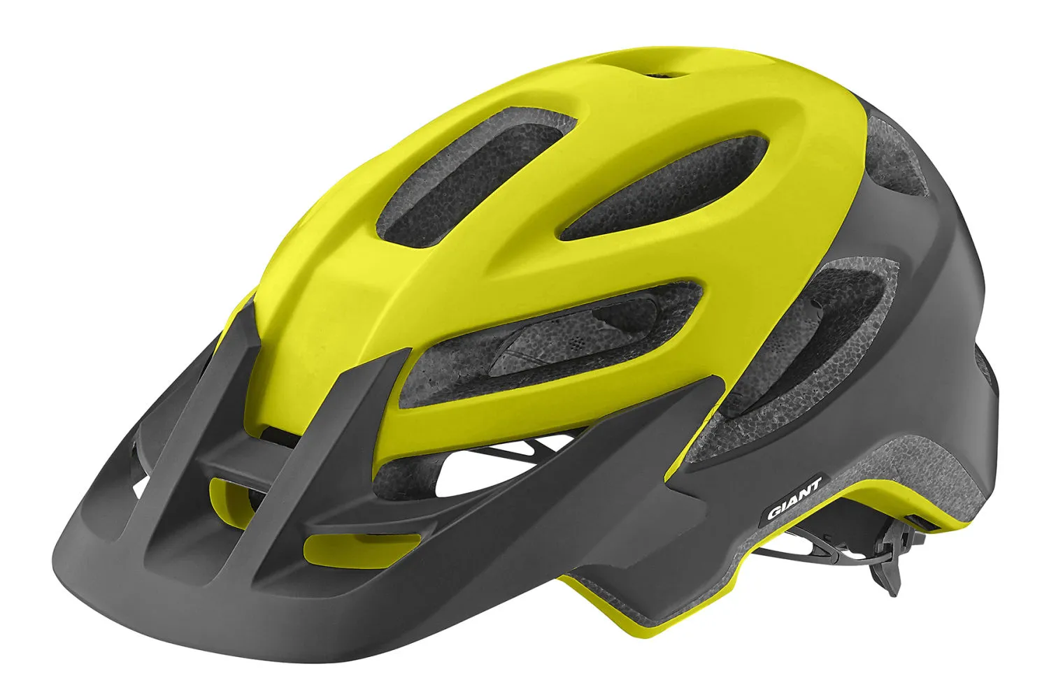 ROOST HELMET
