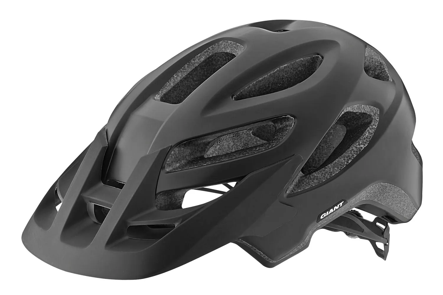 ROOST HELMET